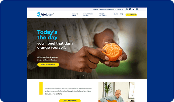 Screenshot of the Vivistem home page.