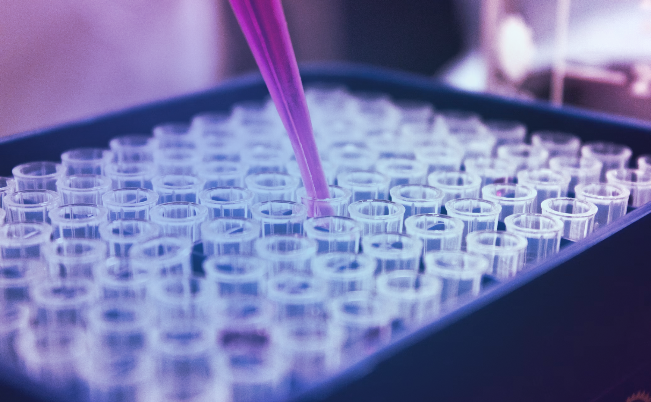 Medical technician add fluid to small beakers.