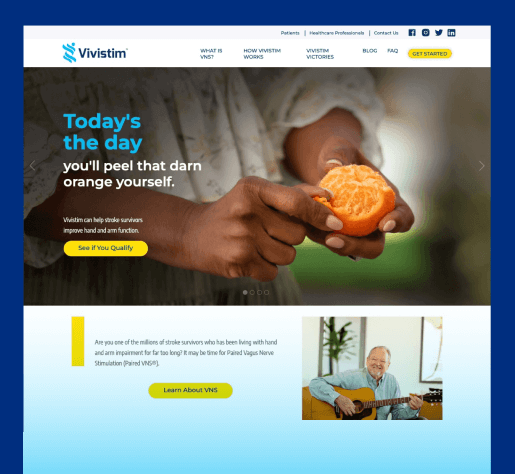 Screenshot of Vivistem Homepage.