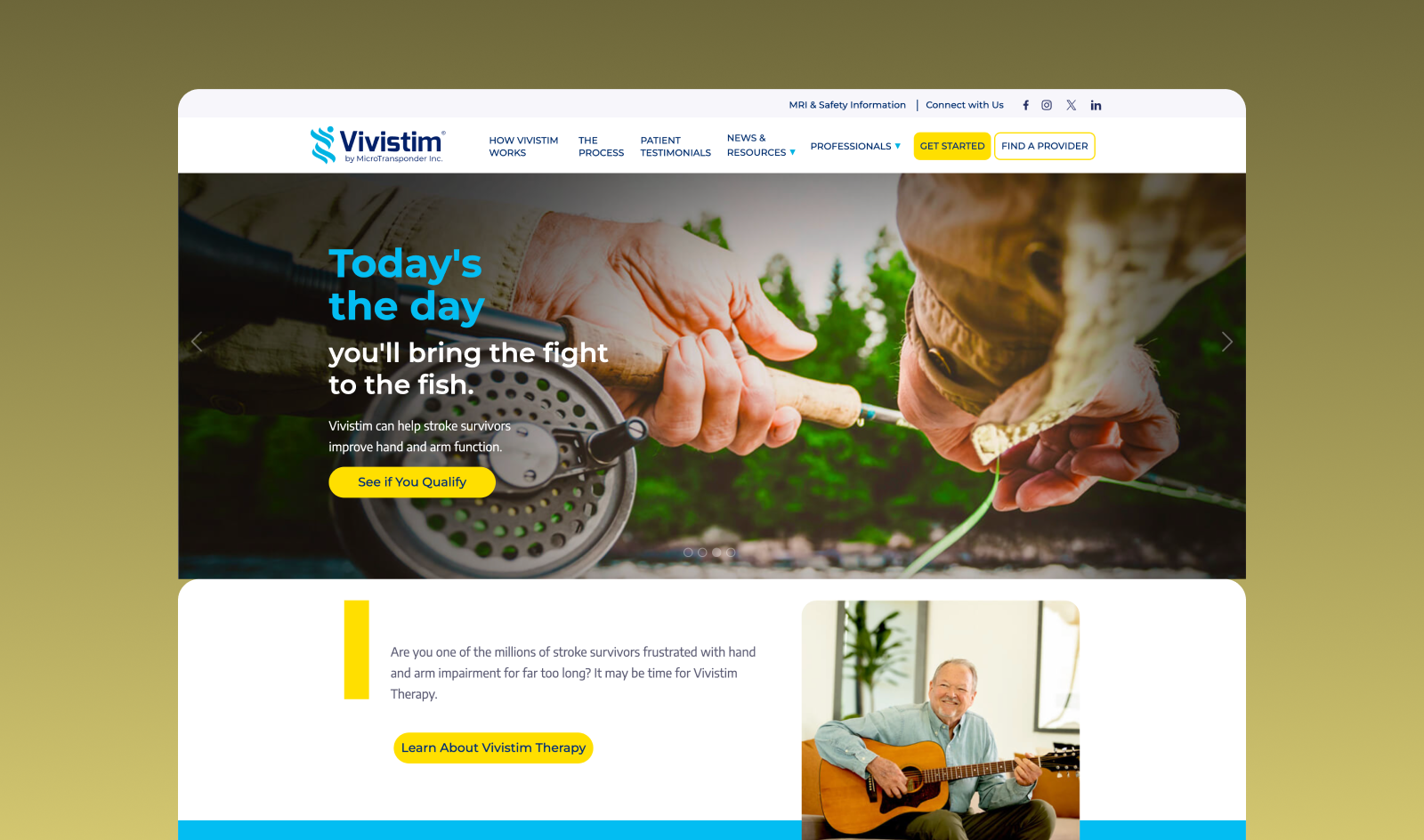 vivistim home page